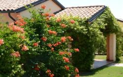 Le Corti di Montepitti Residence
