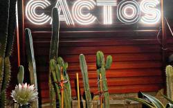 Cactos Bar & Homestay