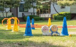 Pocheon luxjay pet Pension