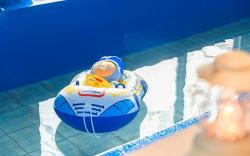 Pocheon luxjay pet Pension
