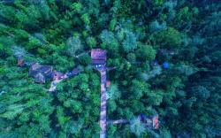 Humble Nest Resort coorg 