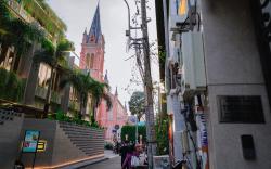 The Nguyens - Pink Church View