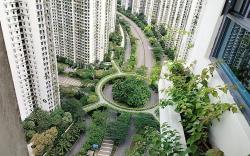 Forest City Private House Yulu 16