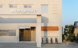 Mangrove Goseong