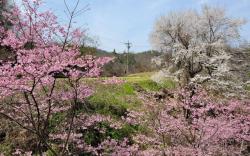 glampark Gekkabijin Nagano
