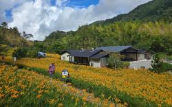 chikesakura homestay 赤科山櫻之谷民宿