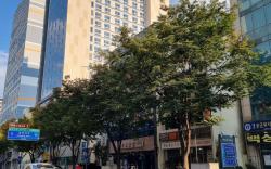 Daegu Dongseongro DSR  BusinessHotel