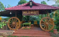 Wild Mist 