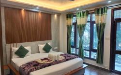Green Forest View