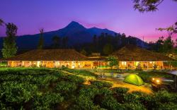 Zostel Plus Wayanad
