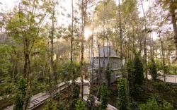 Sarvakaya Timber Trails