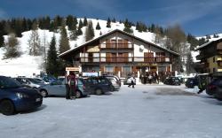 Hotel Grizzly