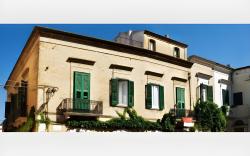 Le Foglie Di Acanto