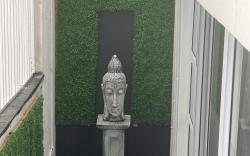 Studio Zen