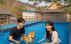 Gapyeong Haneuldari pet pension