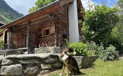 Romantikhütte