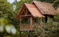 Du An Garden Forest Retreat