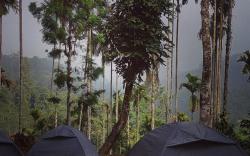 Tropical camping