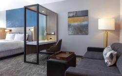 SpringHill Suites by Marriott Pleasanton