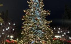 Voulis Best Global Home