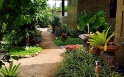 Tonpho Homestay, Lampang