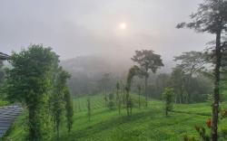 Vythiri Stream View