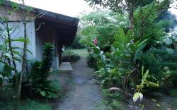 Posada Rio Celeste La Amistad