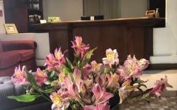 Filatelia Suites & Travel
