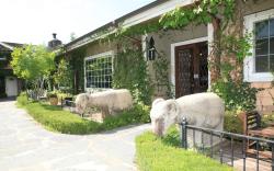 Yeoncheon herb village
