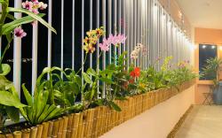 GREENTREE (2 P.NGỦ, TẦNG 2, CÓ P.BẾP, MÁY GIẶT...)