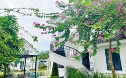 Biệt thự 3 PN - Villa Thanh Liên Vườn Vua 