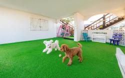 Taean anmyeondo hwangdo ilmare Pension