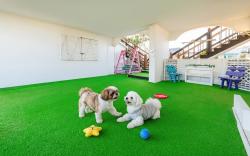 Taean anmyeondo hwangdo ilmare Pension