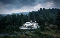 Tree of Life - Eila Art, Manali