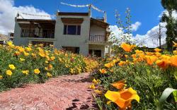 Chakzot garden house