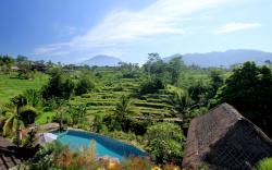 Abian Ayu Villa