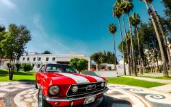 74 Museum Hotel 