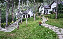 Niraamaya Retreats Cardamom Club