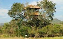 Bamboo Banks Farm and Guest House - Masinagudi