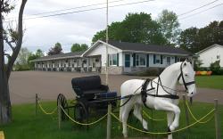 The White Horse Motel