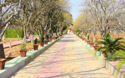 Matoshree Green Stay Sariska