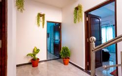 Goan Fiesta Studio CALANGUTE GOA