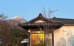 Assi House
