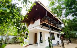Coconut Garden