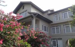 Snow Leopard Lodge