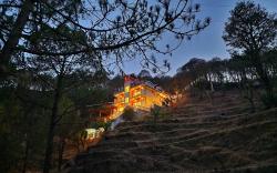WONDER HILL KASAULI