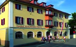 Gasthof Goldener Fisch