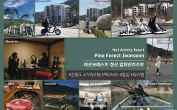 Pine Forest Jeongseon Alpine Resort