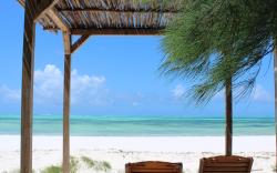 Kivuli Beach Resort Paje