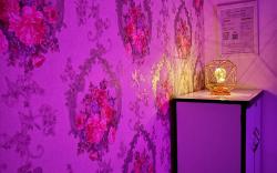 TFF INN Lucknow Hotel Style Homestay Vintage Theme